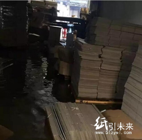 大暴雨突袭广州，纸品厂损失惨重