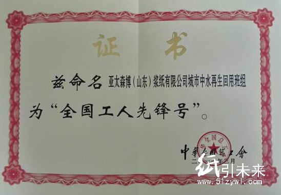 亚太森博（山东）浆纸有限公司全国工人先锋号