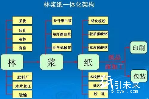 晨鸣纸业