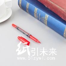 晨光记号笔史努比海洋风SPM21302红双头