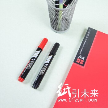 晨光记号笔物流专用M02（黑）APMY4001