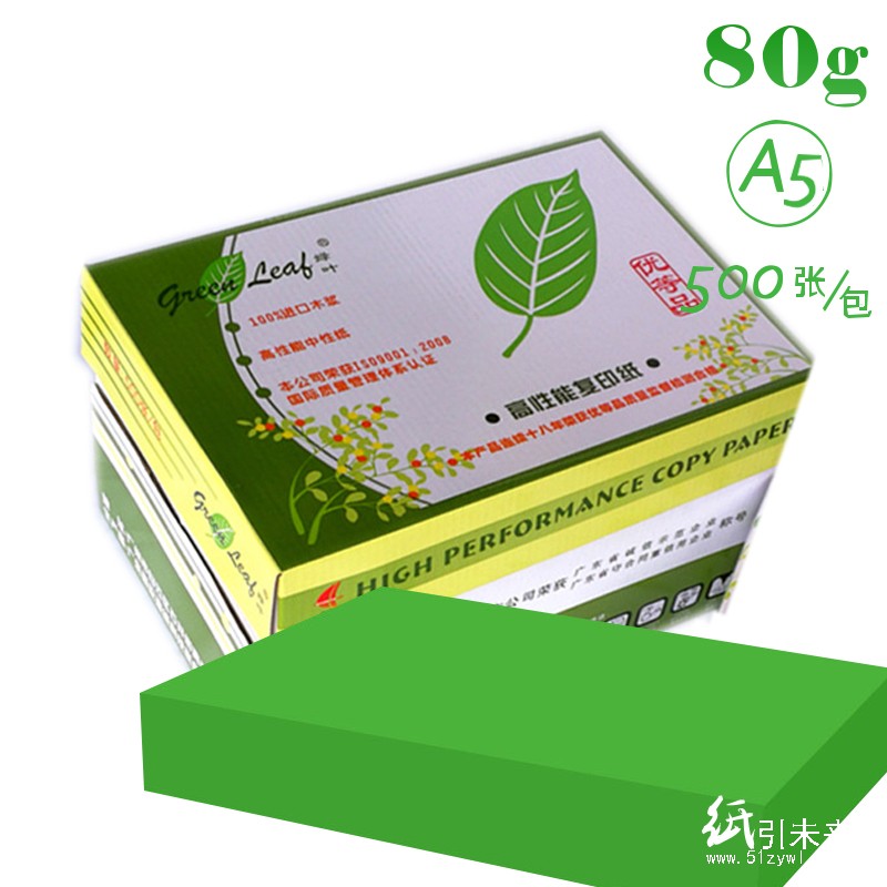 绿叶（GreenLeaf） A5 80g 彩色复印纸 500p 20包箱 绿色