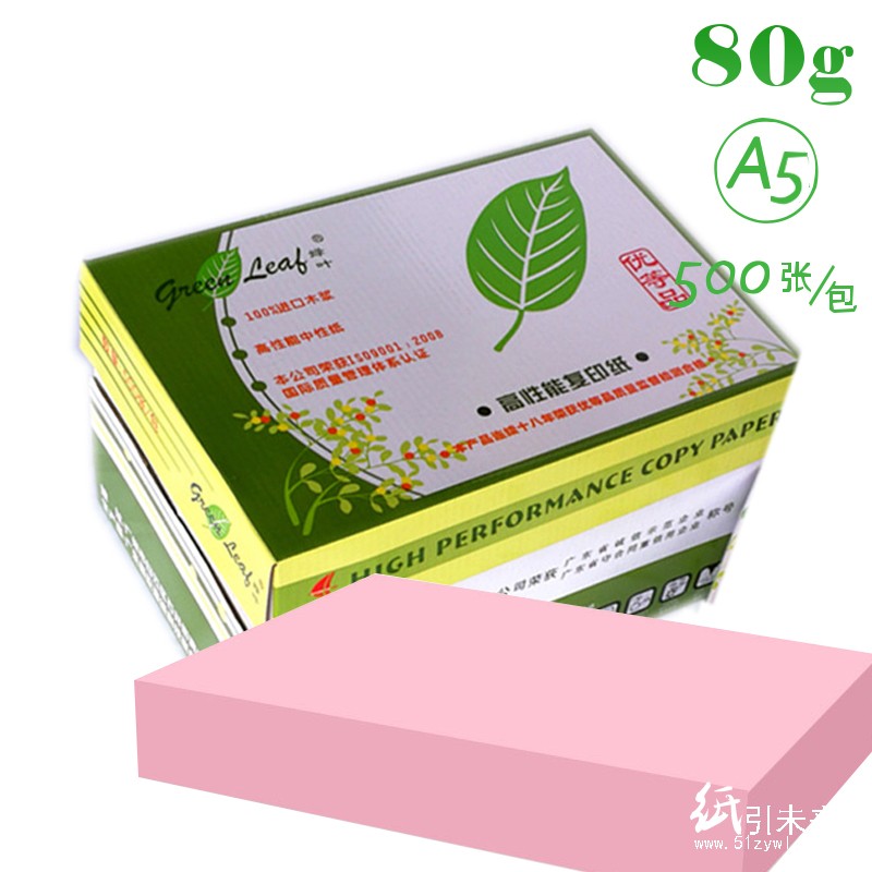 绿叶（GreenLeaf） 彩色复印纸 A5 80g 500p 粉红色 20包箱