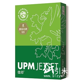 UPM佳印 复印纸 A3 80g 500张/包 5包/箱