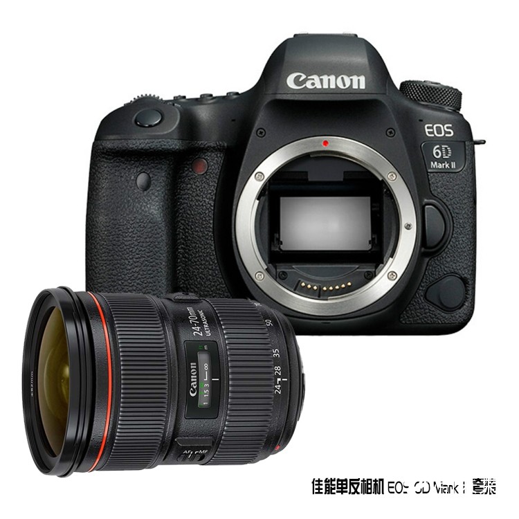 佳能（Canon）单反套机 EOS 6D Mark II 全画幅CMOS图像感应器 约2620万有效像素 3.0英寸屏 自动对焦 无内置存储 含EF 24-70mm f/2.8L II USM标准变焦镜头 一年保修	黑色