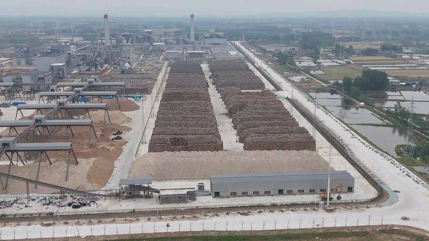 湖北石首：芦苇变废为宝，纸厂生产总值将突破110亿