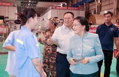 老挝国家副主席巴妮•雅陶都调研太阳纸业老挝基地